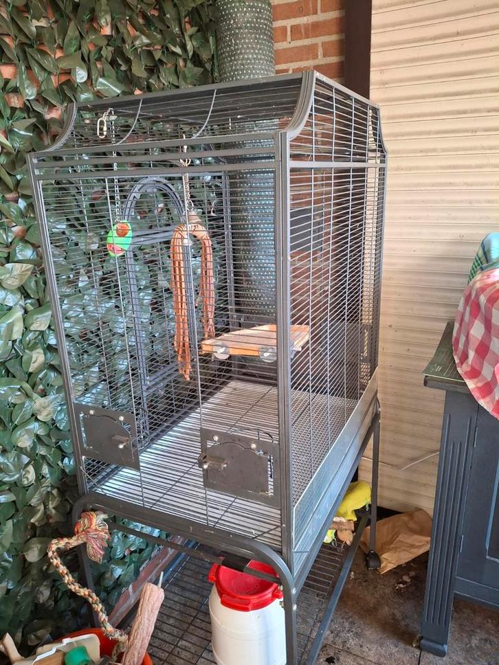 Montana ll kooi  antraciet en accessoires, Dieren en Toebehoren, Vogels | Parkieten en Papegaaien, Parkiet, Mannelijk