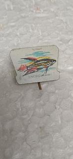 Knorgurami vissen, Verzamelen, Speldjes, Pins en Buttons, Ophalen of Verzenden, Zo goed als nieuw, Overige onderwerpen