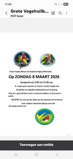 Vogelruilbeurs, Meerdere dieren, Tropenvogel, Geringd