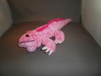 baardagame roze dikke keel 33 cm ogen zwart oranje en ooglid, Ophalen of Verzenden, Nieuw, Overige typen