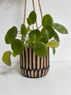 Hangbloempot met Pannenkoekplant (Pilea) – Incl. touw, Tuin en Terras, Bloempotten, Rond, Binnen, Ophalen of Verzenden, Zo goed als nieuw
