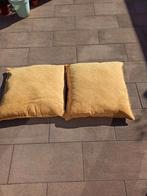 2 Tuinkussens om te chillen, Tuin en Terras, Tuinmeubel-accessoires, Ophalen, Zo goed als nieuw