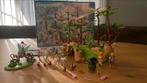 Playmobil magische feeëntuin nr 9132, Ophalen of Verzenden, Gebruikt