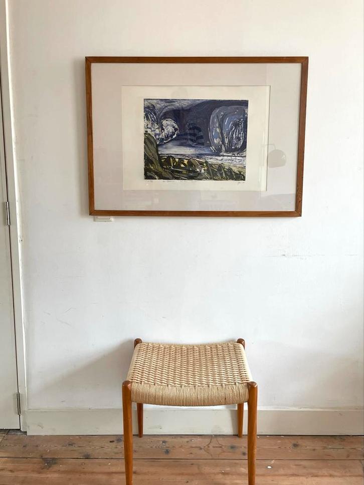 Vintage Litho in passe-partout uit Denemarken, Verzamelen, Posters, Gebruikt, Dier of Natuur, Rechthoekig Liggend, Met lijst, Ophalen