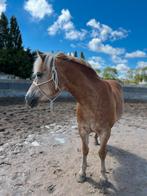 Touwhalster en leadrope, Dieren en Toebehoren, Ophalen of Verzenden, Overige soorten