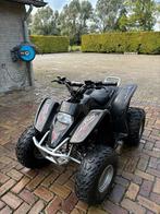 Quad Access DRR 100, Motoren, Quads en Trikes, 89 cc, 1 cilinder, 12 t/m 35 kW