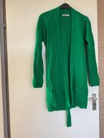 Groen vest van Studio Anneloes, maat xs, Kleding | Dames, Ophalen of Verzenden, Zo goed als nieuw, Maat 34 (XS) of kleiner, Groen
