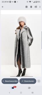 Luxe Cesare Gaspari Jas grey maat XL (46), Kleding | Dames, Jassen | Zomer, Maat 46/48 (XL) of groter, Ophalen of Verzenden, Grijs