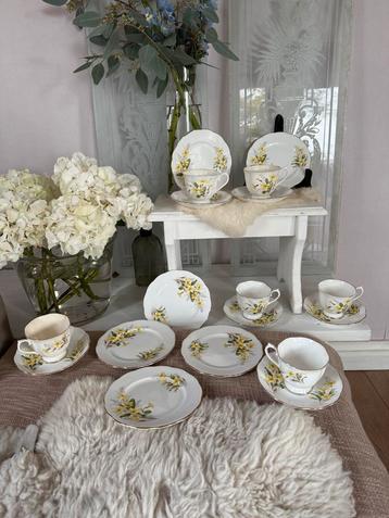 Royal Albert Primrose Avon Thee  Kopjes en Taart Set beschikbaar voor biedingen