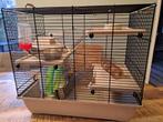 Hamsterkooi, Dieren en Toebehoren, Knaagdieren en Konijnen | Hokken en Kooien, Kooi, Minder dan 75 cm, Zo goed als nieuw, Hamster