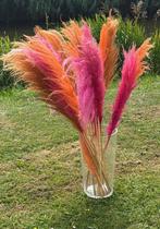 Leuke grote pluimen in de kleuren fuchsia roze/ oranje, Ophalen