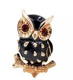 Nieuwe Luxe Uiltjes Broche. Voor 6,95 Verzendkosten 1,00, Sieraden, Tassen en Uiterlijk, Broches, Ophalen of Verzenden, Nieuw