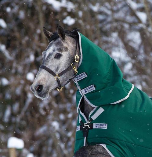 Rambo Original Hood, Hals, Green of Burgundy, S, M, L en XL, Dieren en Toebehoren, Paarden en Pony's | Dekens en Dekjes, Nieuw