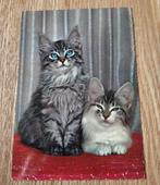 Twee schattige poezen tegen elkaar aan, Verzamelen, Ansichtkaarten | Dieren, Verzenden, Gelopen, Hond of Kat