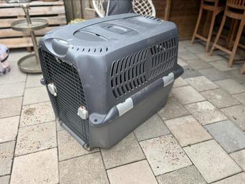 Zeer stevige XXL bench beschikbaar voor biedingen