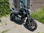 Yamaha mt-03 mt03 2009 Akrapovic - Weinig km’s, Motoren, Motoren | Yamaha, Particulier, Naked bike