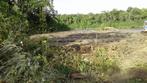 Perceel te koop in Suriname aan het water (Saramacca)