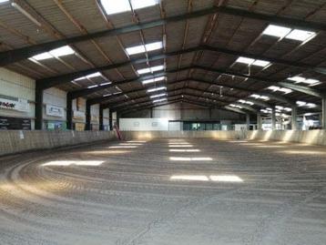 Paardenboxen vrij beschikbaar voor biedingen
