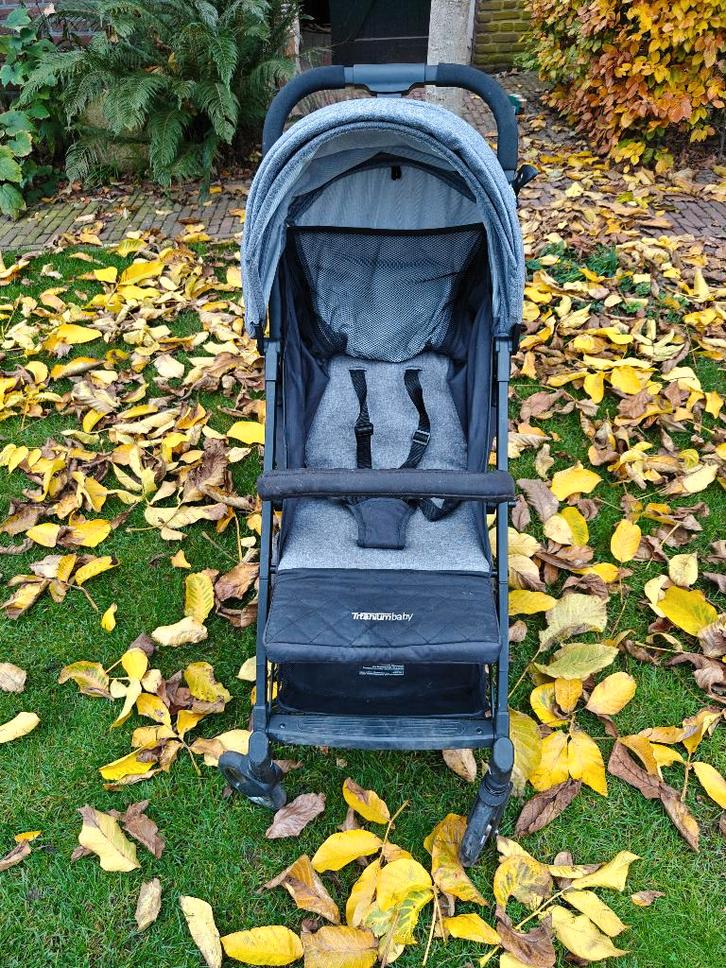 Buggy Titanium baby, Kinderen en Baby's, Buggy's, Gebruikt, Overige merken, Verstelbare rugleuning, Zonnekap, Ophalen