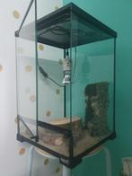 GiganTerra Terrarium Tower M 30x30x45 Met Warmte Lamp, Dieren en Toebehoren, Reptielen en Amfibieën | Toebehoren, Ophalen, Nieuw