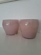 2 Mooie glazen vazen/plantenpotten, Ophalen of Verzenden