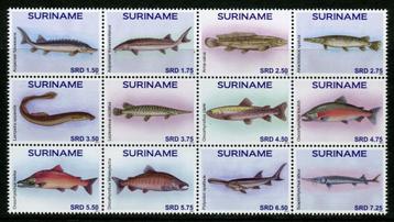 Suriname 2174/85 postfris Vissen 2016 beschikbaar voor biedingen
