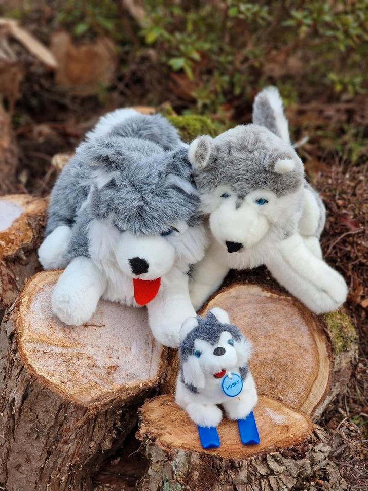 3 Pluche Husky's - Knuffel Familie, Kinderen en Baby's, Speelgoed | Knuffels en Pluche, Zo goed als nieuw, Hond, Ophalen of Verzenden