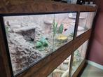 Groot COMPLEET terrarium INCL GEKKO'S, Dieren en Toebehoren, Ophalen, Nieuw, Terrarium of Paludarium