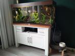 Aquarium Juwel 240, Dieren en Toebehoren, Vissen | Aquaria en Toebehoren, Ophalen, Zo goed als nieuw, Gevuld zoetwateraquarium