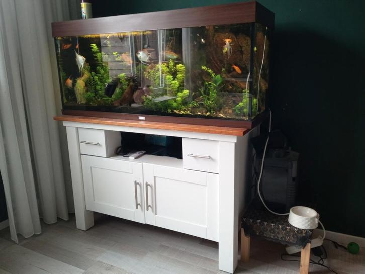 Aquarium Juwel 240, Dieren en Toebehoren, Vissen | Aquaria en Toebehoren, Zo goed als nieuw, Gevuld zoetwateraquarium, Ophalen