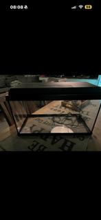 Aquarium van juwel, Dieren en Toebehoren, Ophalen, Zo goed als nieuw, Leeg aquarium