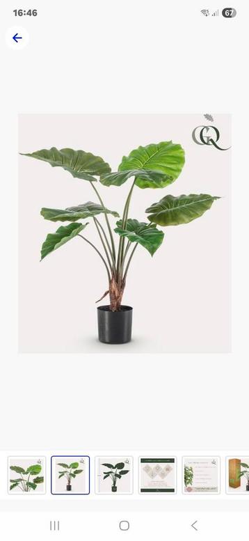 Mooie Kunstplant - Alocasia beschikbaar voor biedingen