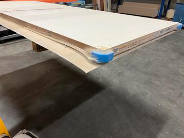 Overschilderbare HPL deur 88x231,5 cm beschikbaar voor biedingen