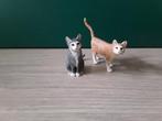 Schleich poezen, Ophalen of Verzenden, Gebruikt, Hond of Kat, Beeldje of Figuurtje
