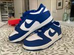 Nike dunk low - blauw, Ophalen of Verzenden, Zo goed als nieuw, Blauw, Sneakers of Gympen