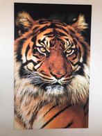 Prachtig groot tijger schilderij, Antiek en Kunst, Kunst | Schilderijen | Modern, Ophalen