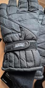 Thinsulate Handschoenen XL-Nieuw!, Thinsulate, Ophalen of Verzenden, Handschoenen, Maat 56/58 (XL)