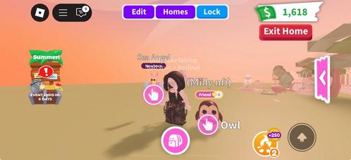Owl adopt me, Spelcomputers en Games, Games | Atari, Zo goed als nieuw, Overige modellen, 1 speler, Vanaf 3 jaar, Ophalen of Verzenden