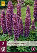 Lupine zaden, paars, Tuin en Terras, Ophalen of Verzenden, Voorjaar, Volle zon, Zaad