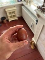 10 kuikens! Koperzwarte Marans!, Dieren en Toebehoren, Pluimvee, Geslacht onbekend, Kip