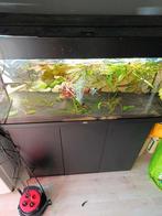 Juwel 180 liter met jbl pomp, Dieren en Toebehoren, Vissen | Aquaria en Toebehoren, Ophalen of Verzenden, Zo goed als nieuw, Leeg aquarium
