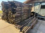 Dikke fruitboom palen 3 meter - Goede staat, Gebruikt, Palen, Ophalen of Verzenden, Hardhout