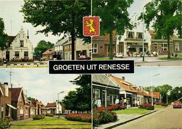 Groeten uit Renesse - 4 afb + wapen - 1981 gelopen beschikbaar voor biedingen