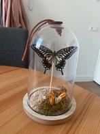 Vlinder in stolp, Huis en Inrichting, Woonaccessoires | Stolpen, Ophalen, Nieuw