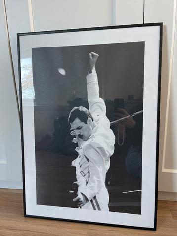 Freddie Mercury Foto in Lijst beschikbaar voor biedingen