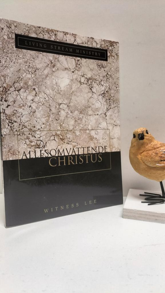 Lee, Witness; De allesomvattende Christus, Boeken, Godsdienst en Theologie, Gelezen, Christendom | Protestants, Ophalen of Verzenden