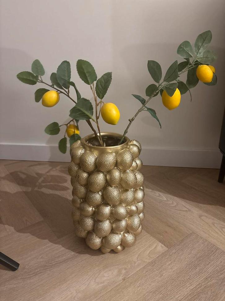 Mooi gouden lemon vaas, Huis en Inrichting, Woonaccessoires | Vazen, Zo goed als nieuw, Minder dan 50 cm, Overige materialen, Ophalen of Verzenden