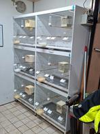 Broedkooien, Ophalen of Verzenden, Hout, Broedkooi of Kweekkooi