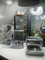Springspin terrarium Halloween thema, Spin of Schorpioen