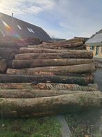 Brandhout,Essen,Stamhout,Boomstammen,Essenhout,Essenstammen, 6 m³ of meer, Ophalen of Verzenden, Essenhout, Stammen